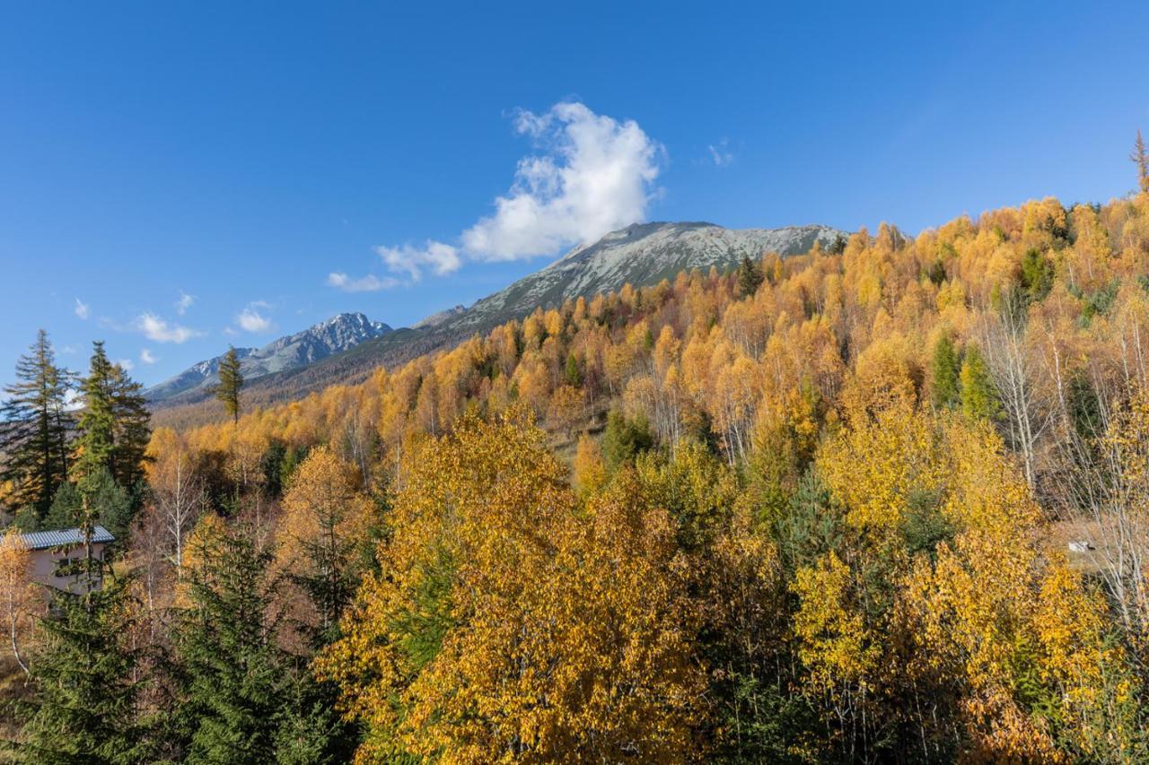 Vila Vlasta Apt. #401 Vysoké Tatry المظهر الخارجي الصورة
